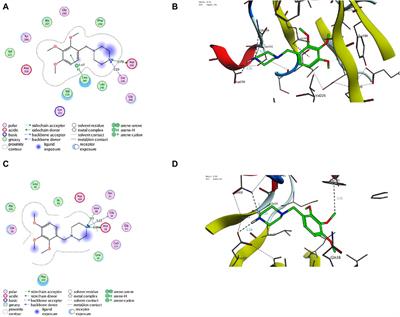 Deciphering the therapeutic potential of trimetazidine in rheumatoid arthritis via targeting mi-RNA128a, TLR4 signaling pathway, and adenosine-induced FADD-microvesicular shedding: In vivo and in silico study